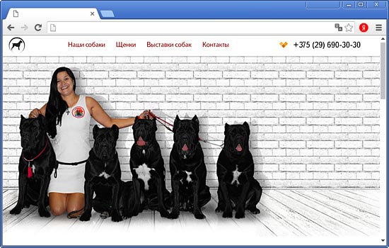 Сделать Сайт для ИП «Хамидулина М.Д.» Сделать Сайт для ИП «Хамидулина М.Д.»